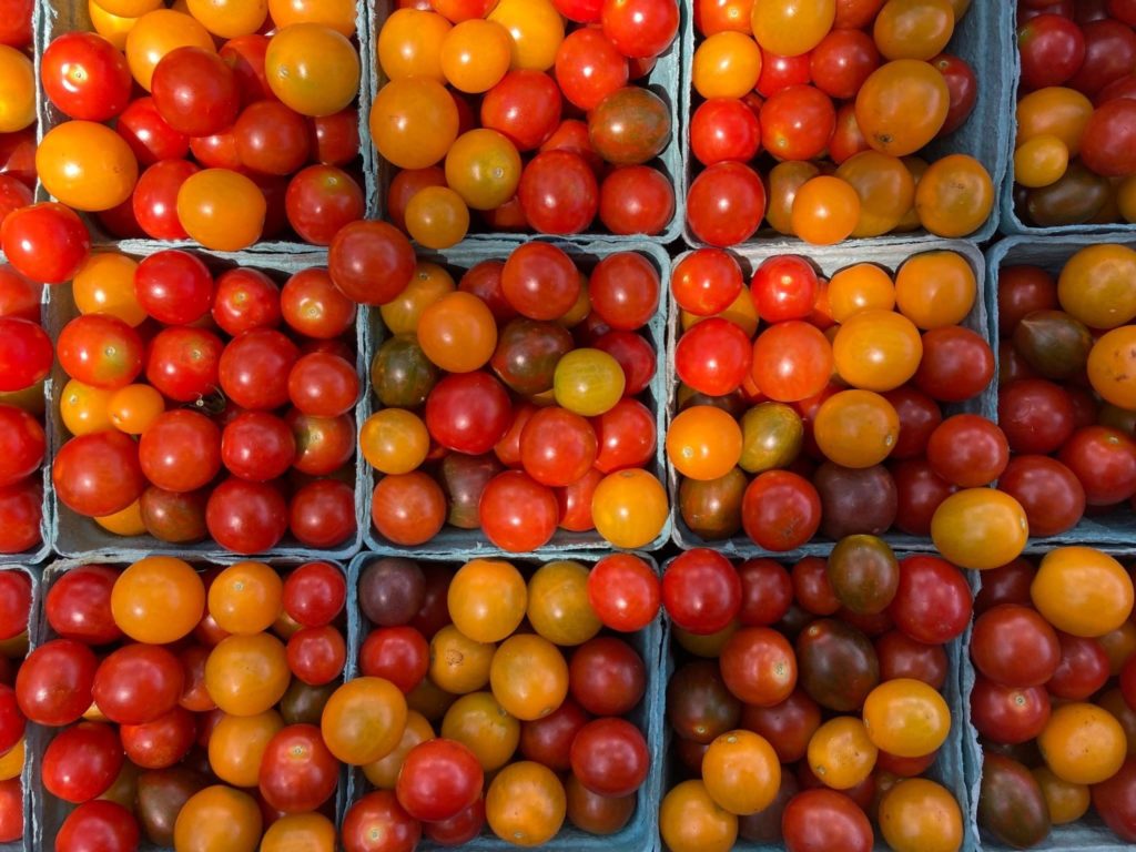 Tomato Harvests