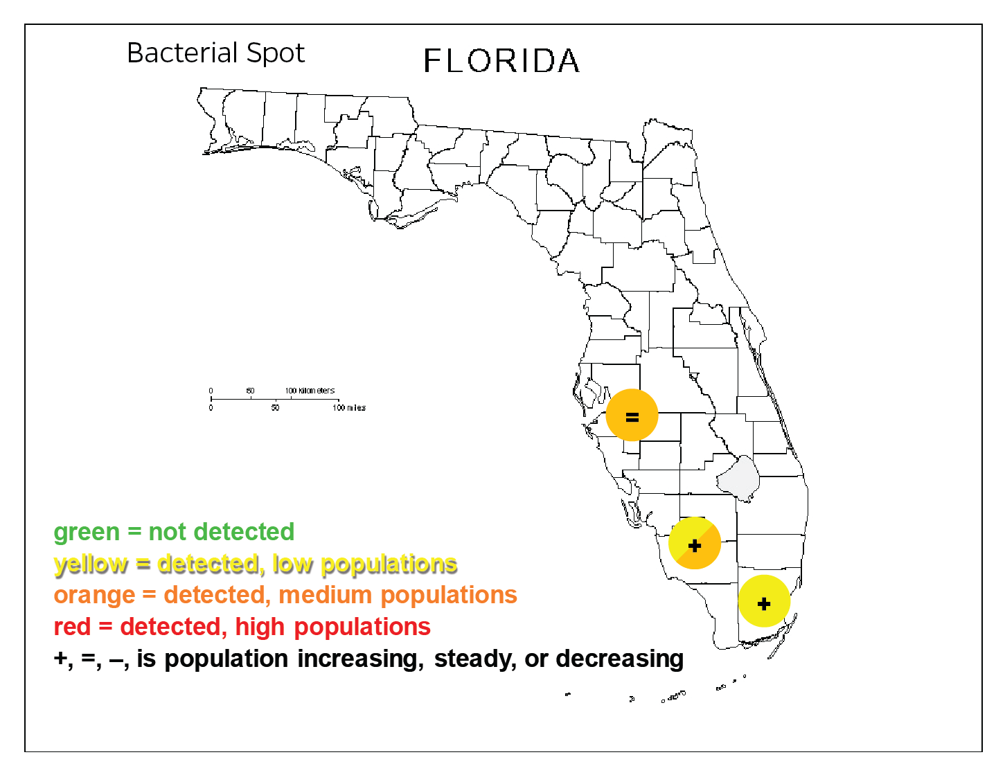 South Florida Pest and Disease Hotline Bacterial Spot Disease on Rise