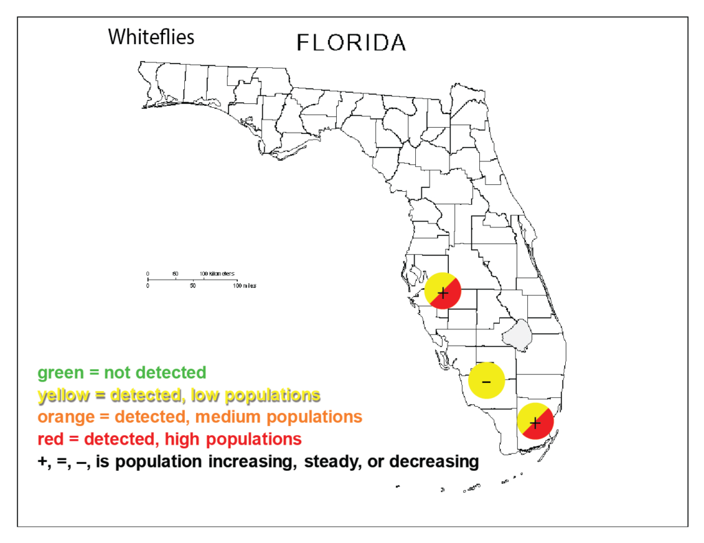 Whitefly Populations