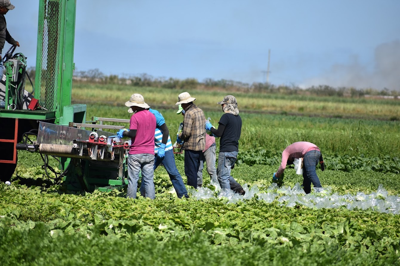 Registration Ongoing For Florida Ag Labor Relations Forum Specialty