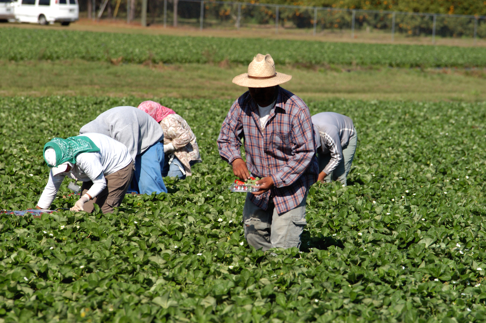 outdoor workers