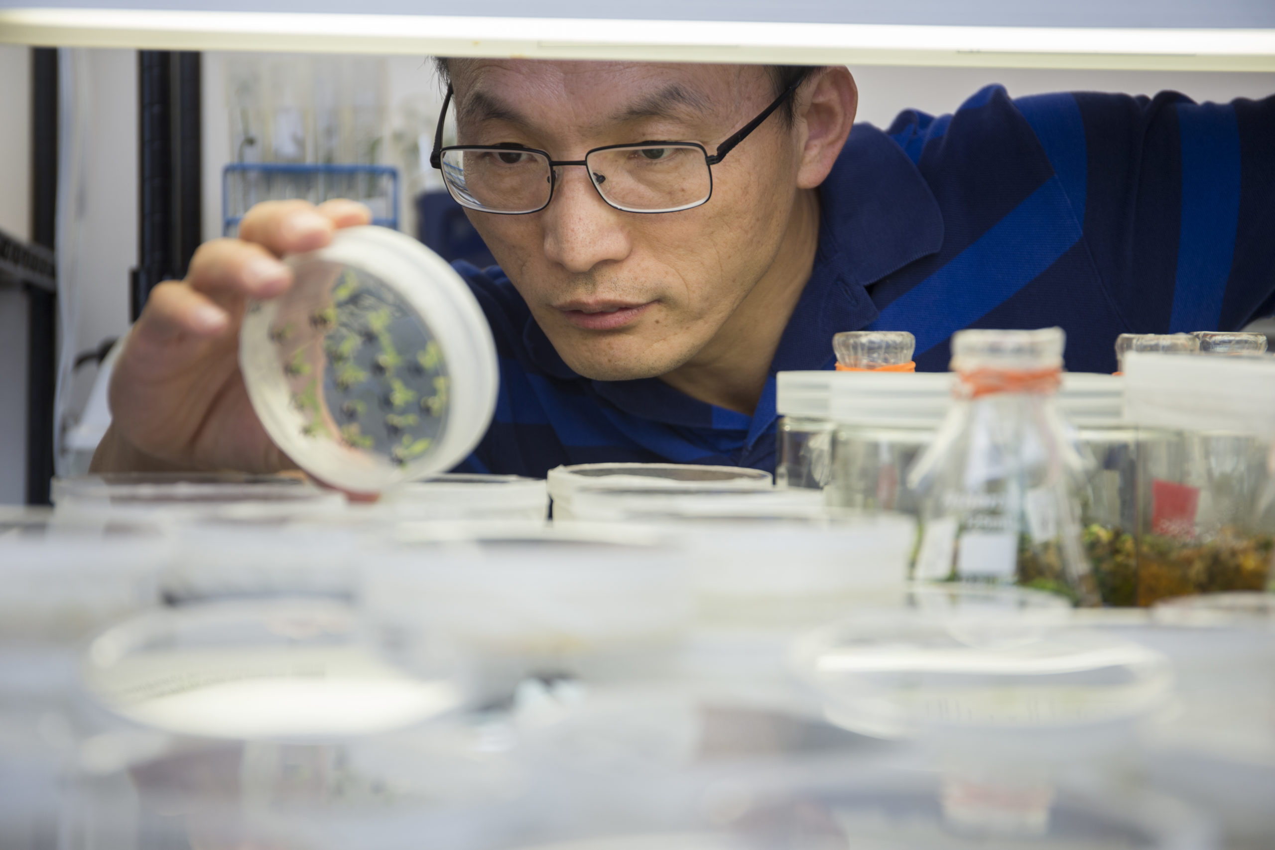 UF IFAS Earns Record 166 Million For Research To Help Solve Critical
