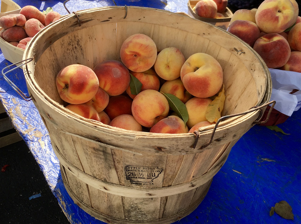 Alabama Peach Industry - Encyclopedia of Alabama