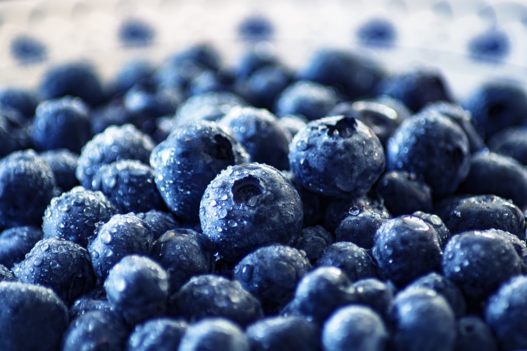 Blueberry Commodity Commission Nominations