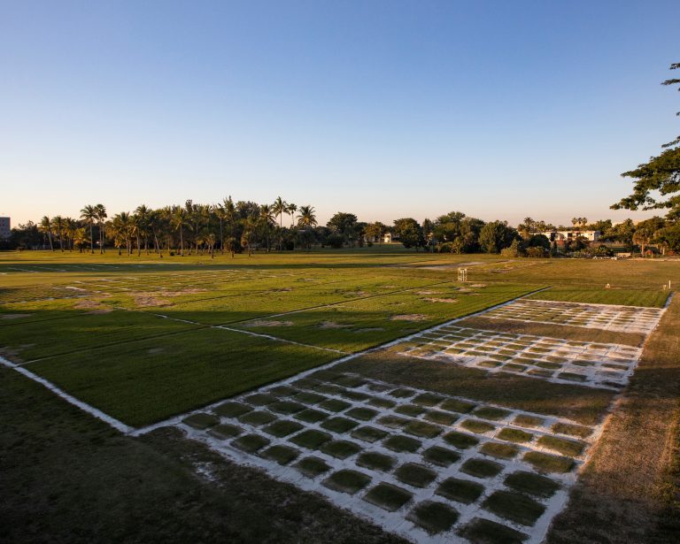 Turfgrass Field Day