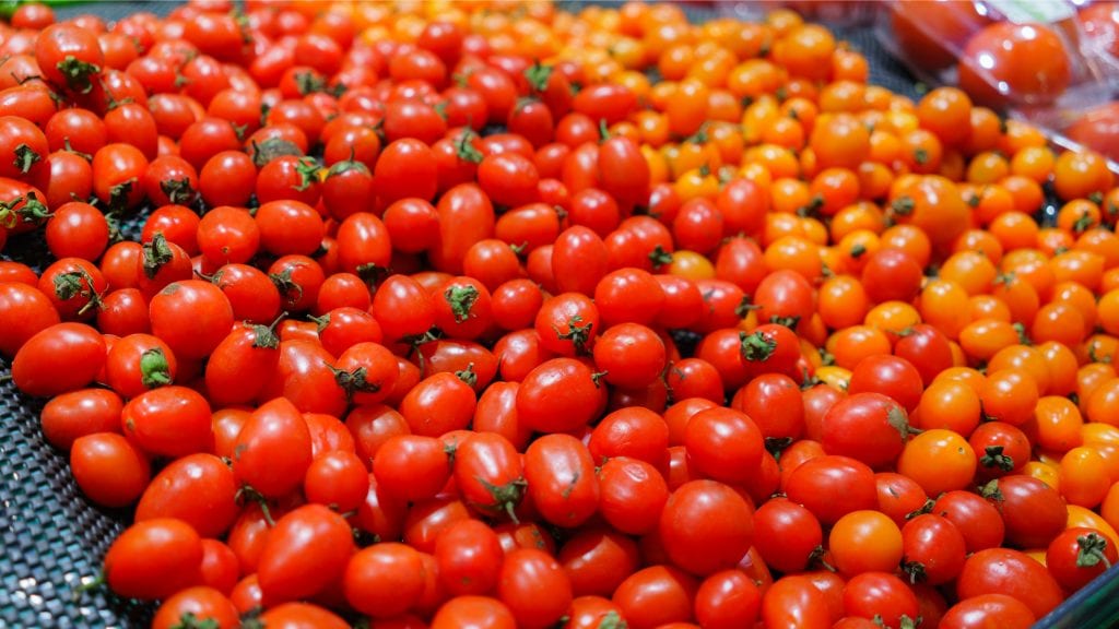 Featured image for “Mexican Tomato Industry Can’t Litigate Its Way Out of Dumping Charges”