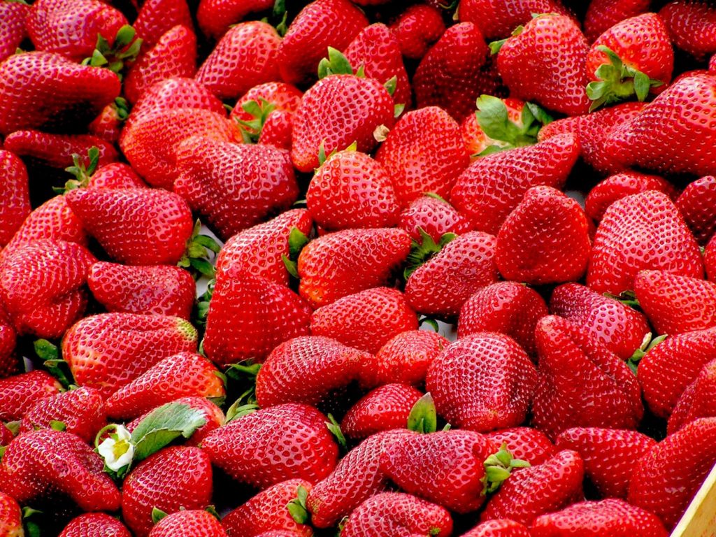 Georgia strawberries