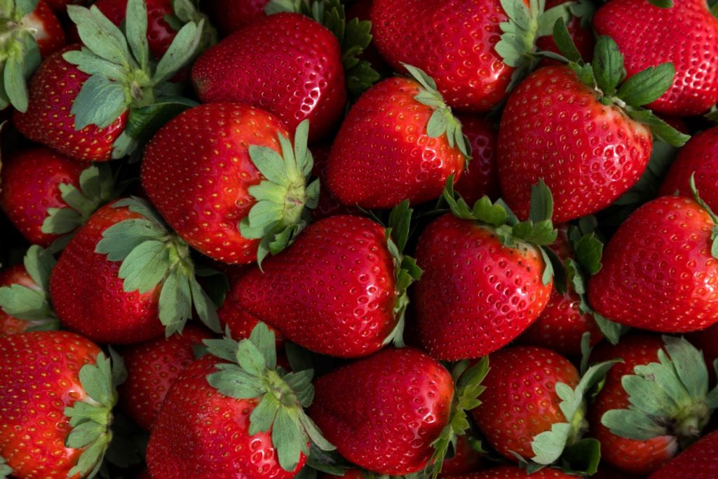 North Carolina Strawberry Day