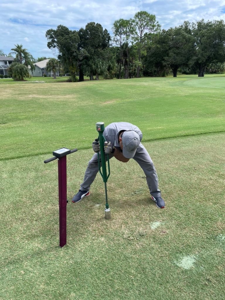 Florida turfgrass