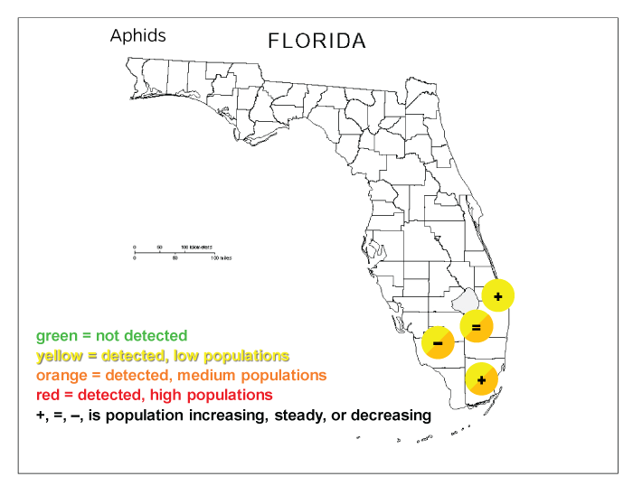 Aphid Populations