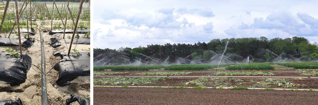 Agricultural Water