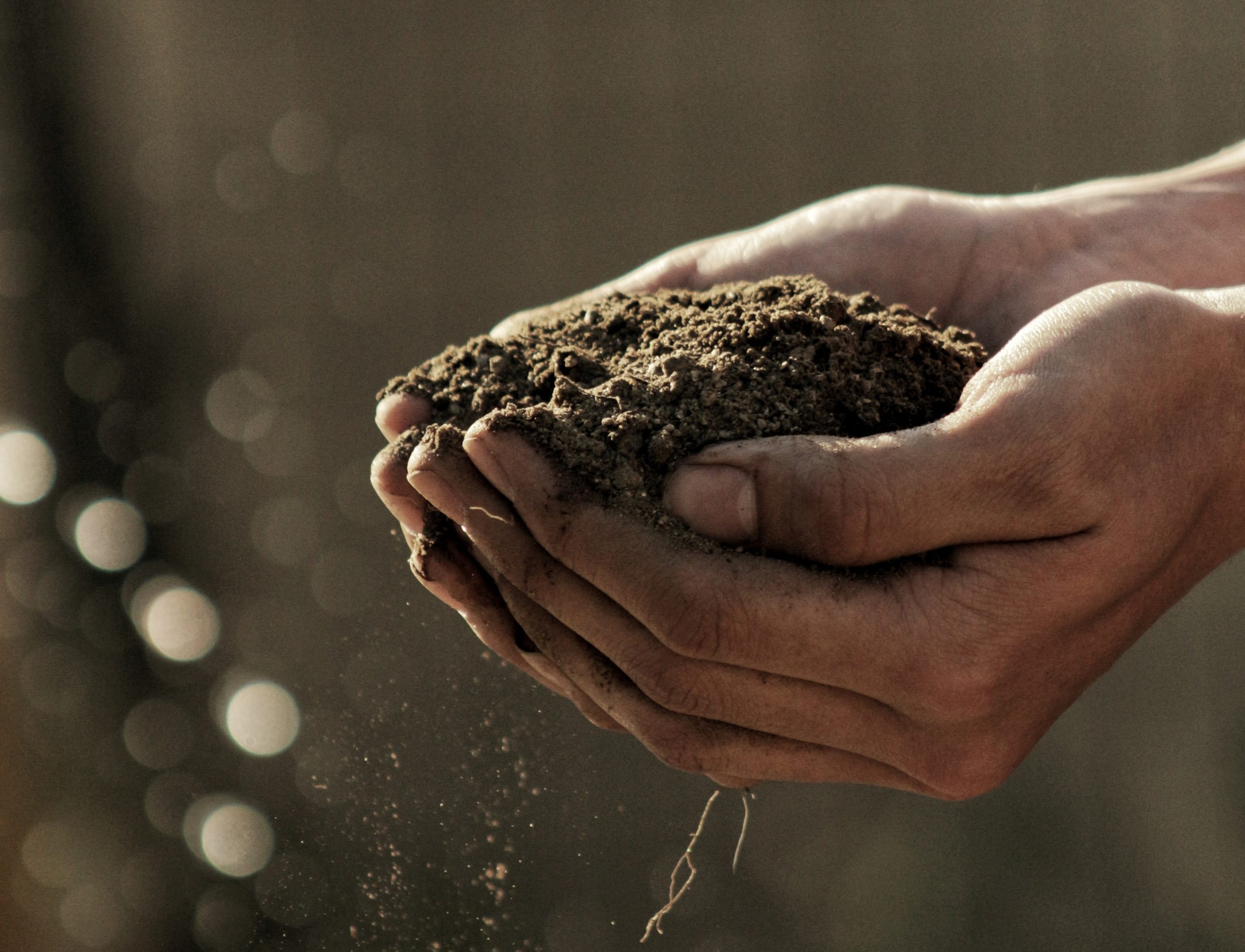 Featured image for “Kula Bio Launches New Soluble Powder Products”