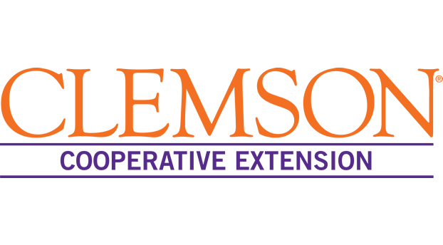 Featured image for “Clemson Extension Agents Provide Crop Updates”