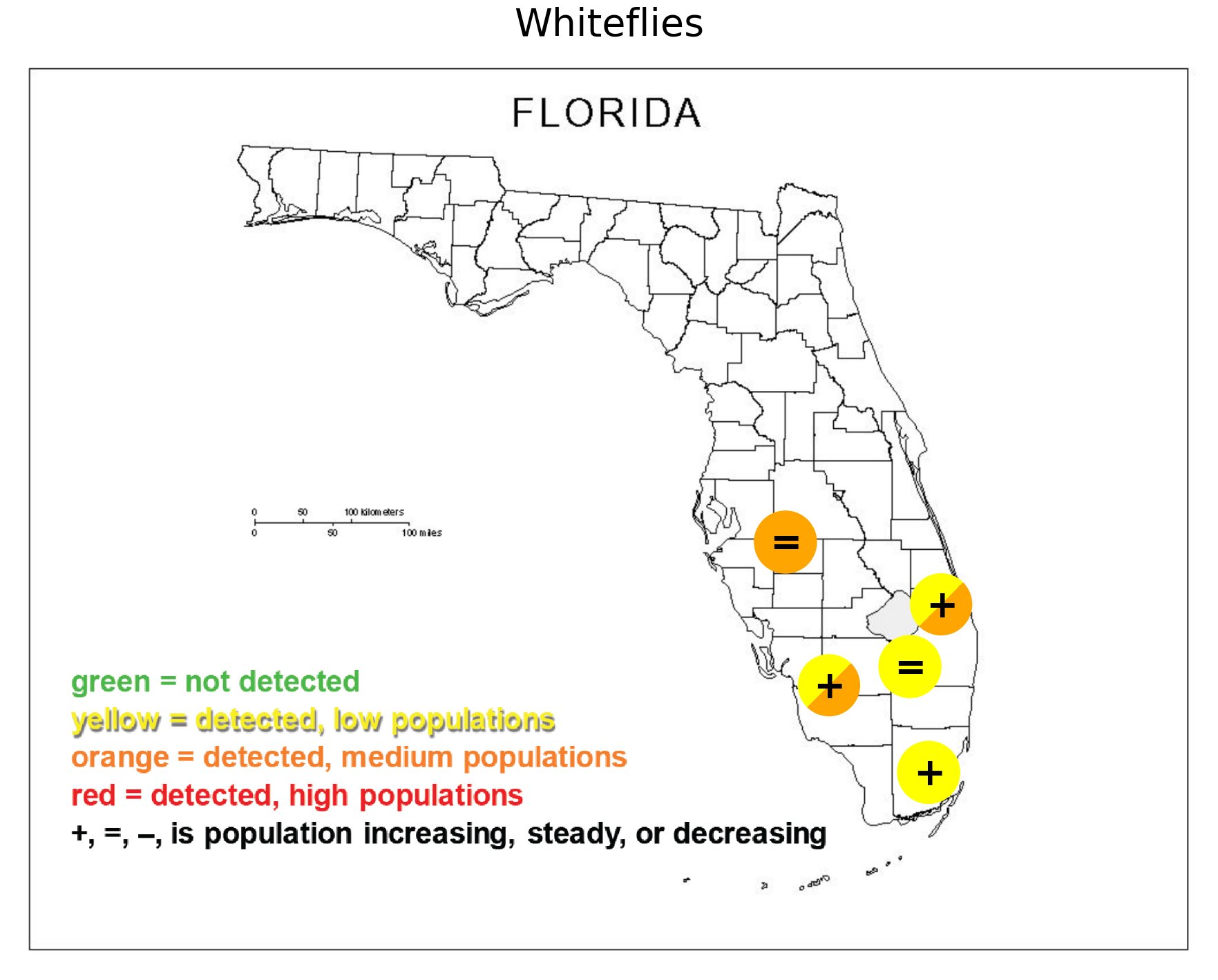 Featured image for “Whitefly Population Update Across South Florida”