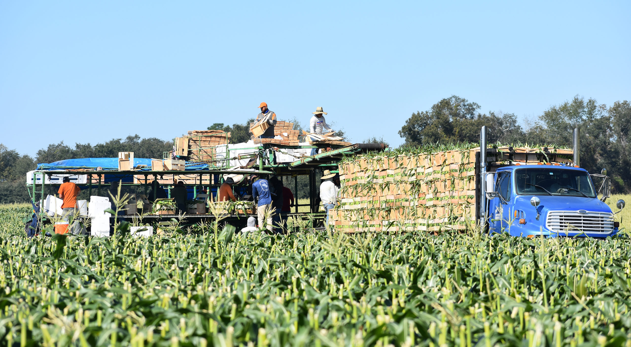 Featured image for “Prompt Response: GFVGA Advises Growers to Complete Farm Labor Surveys”