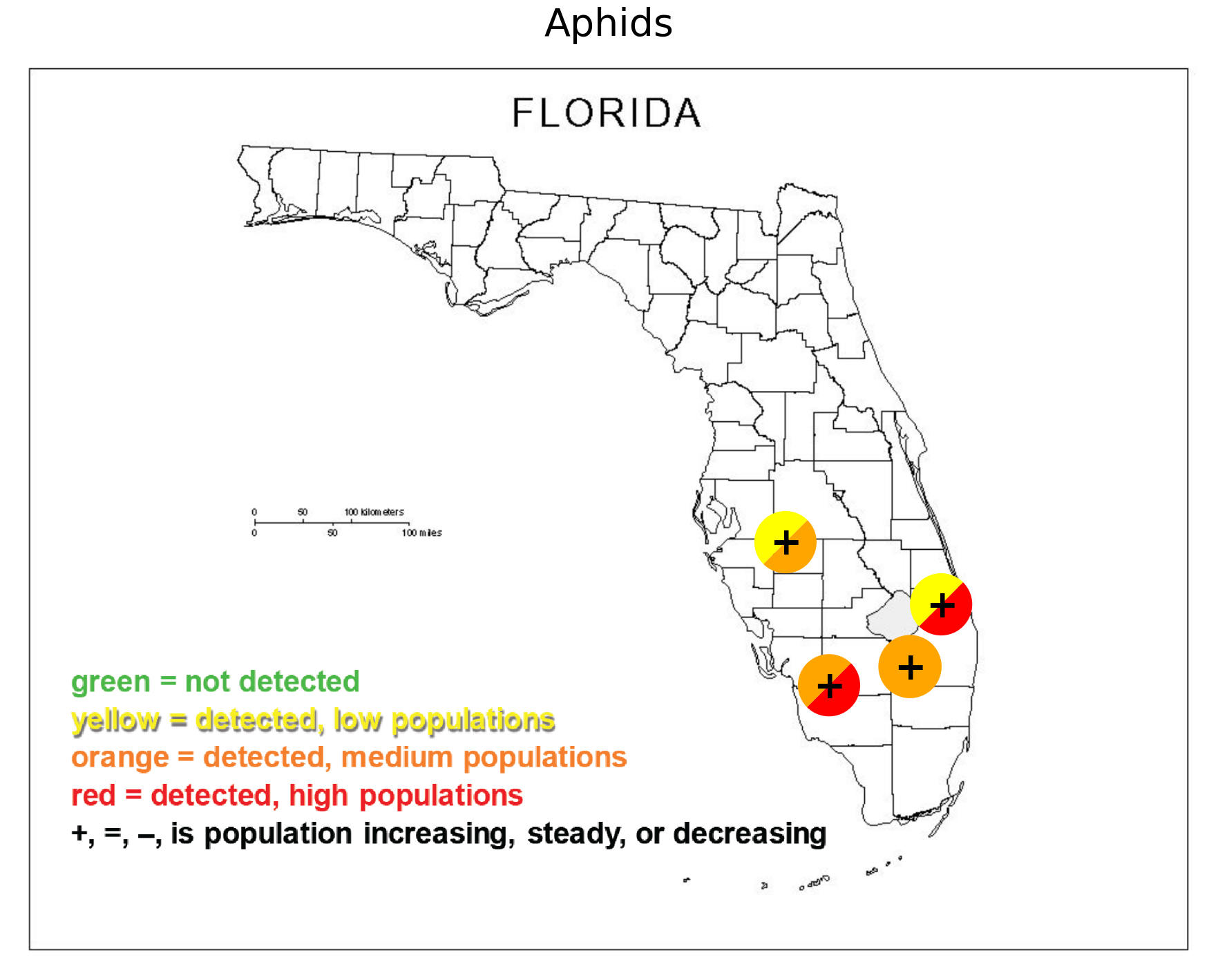 Featured image for “South Florida Pest and Disease Hotline: Aphid Pressure Increasing”