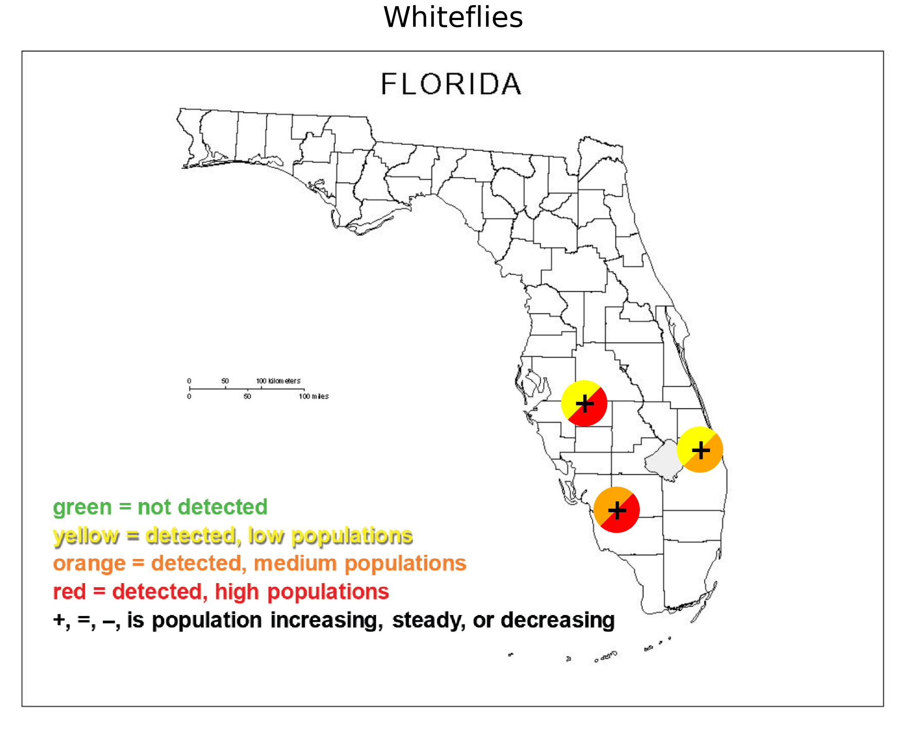 Featured image for “South Florida Pest and Disease Hotline: Whitefly Update”