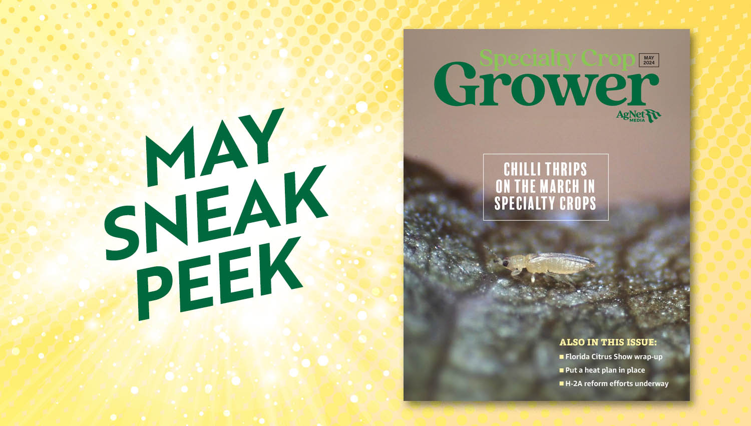 Featured image for “Sneak Peek: May 2024 Specialty Crop Grower Magazine”