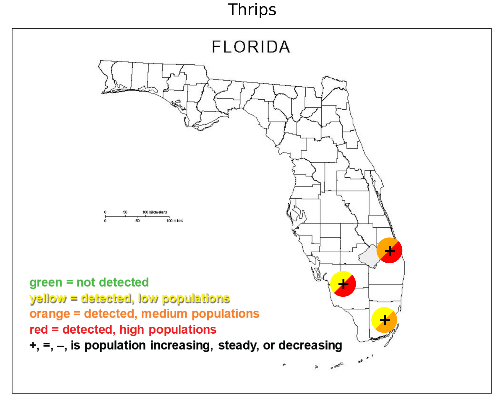 Featured image for “South Florida Pest and Disease Hotline: Thrips Pressure Increasing”