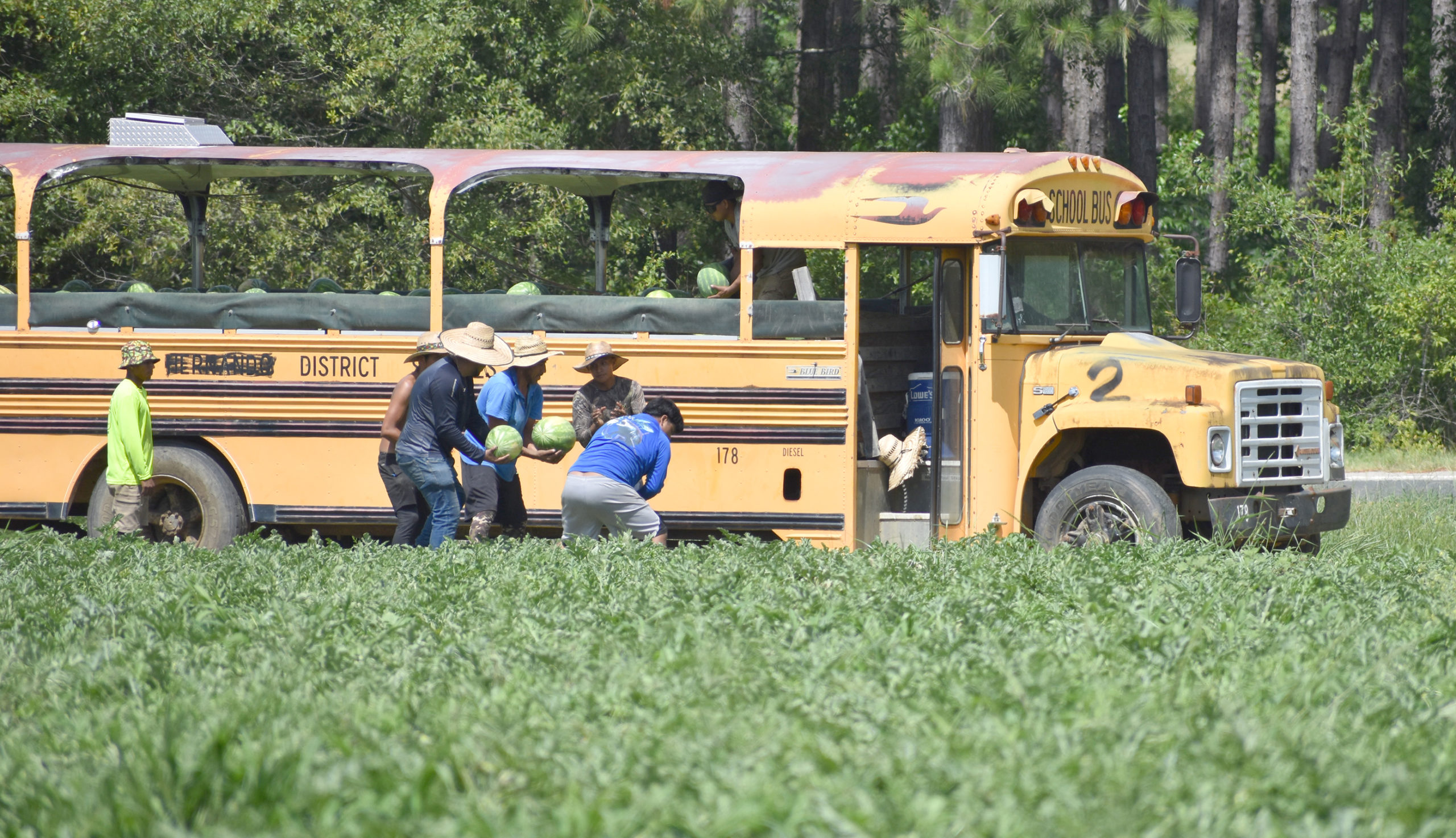 Featured image for “Revised Methodology for Determining AEWR a Win for Growers”