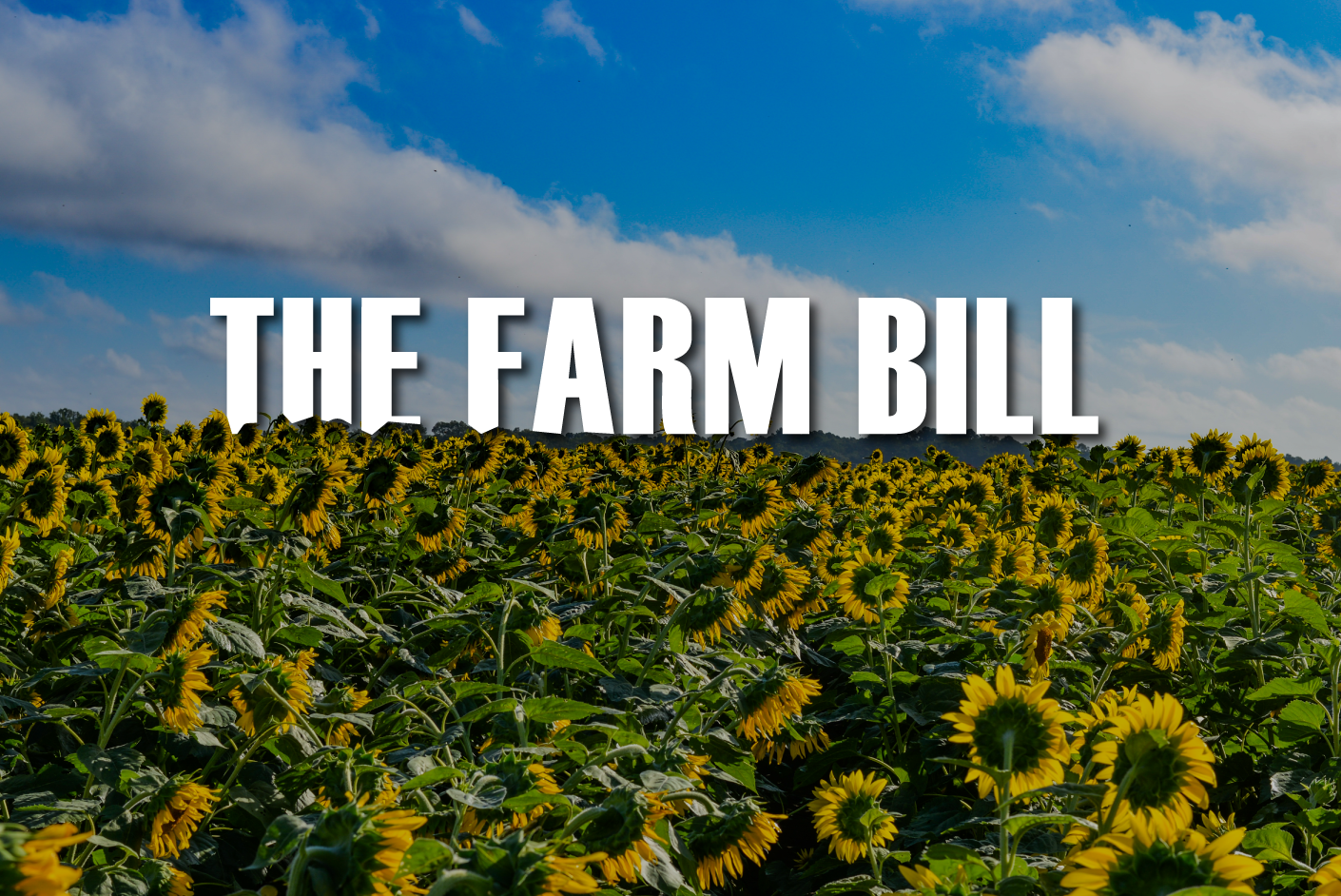 Featured image for “SCFBA Co-Chair Optimistic in Farm Bill’s Passage”