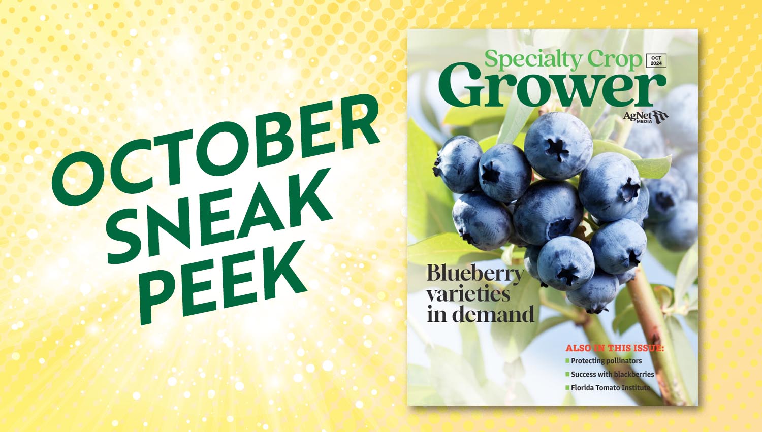 Featured image for “Sneak Peek: October 2024 Specialty Crop Grower Magazine”