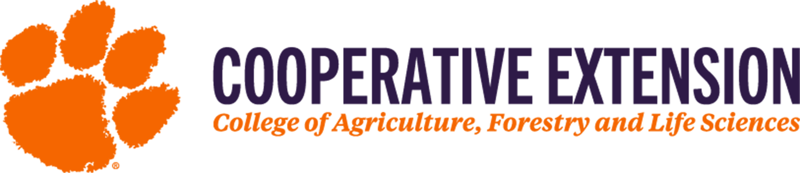 Featured image for “Clemson Extension Agents Provide Crop Updates”