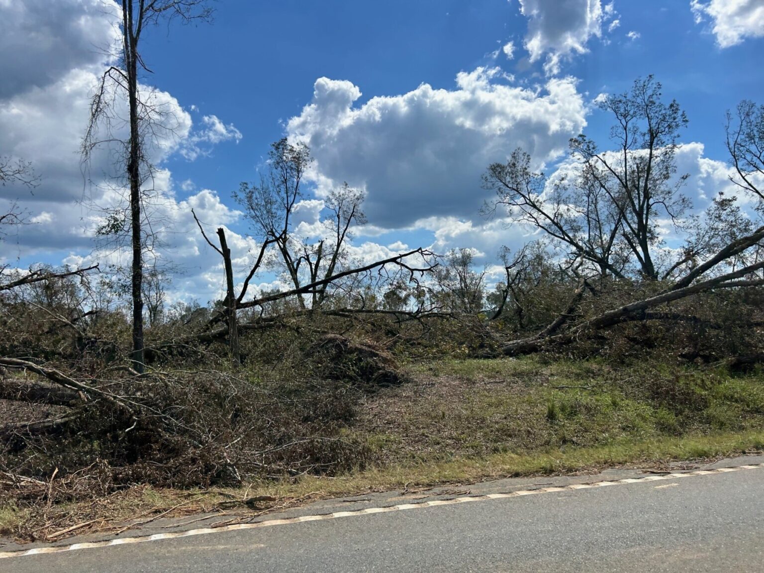 Featured image for “Helene’s Economic Impact on Georgia Pecans May Increase”