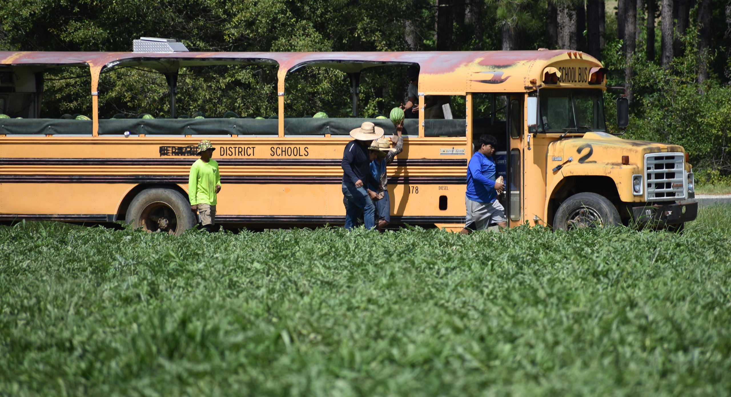 Featured image for “H-2A Hangup: Some Alabama Producers Not Getting Workers in Timely Fashion”