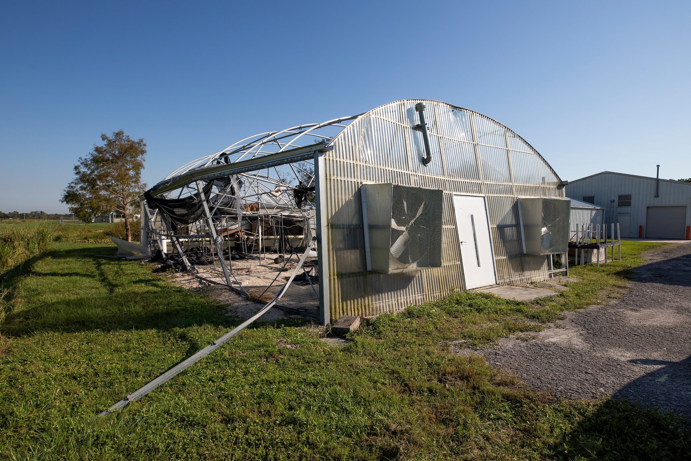 Featured image for “Hurricane Milton Aftermath: Vegetable Impact Tops $52.5 Million”