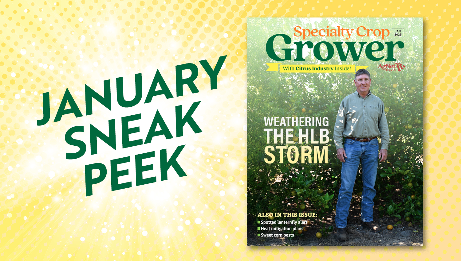 Featured image for “Sneak Peek: January 2025 Specialty Crop Grower Magazine”