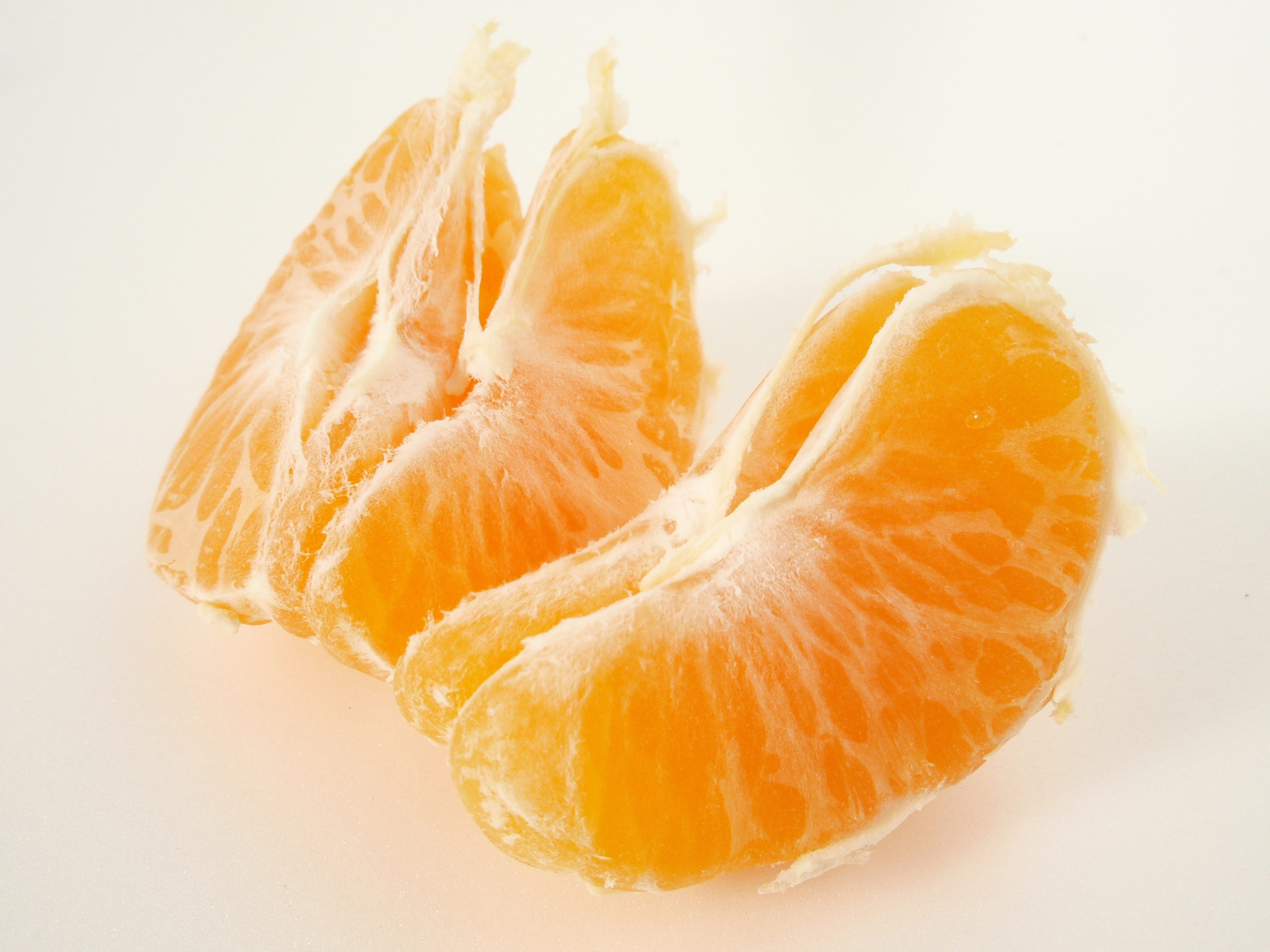 Featured image for “Georgia Citrus Grower Discusses Satsuma Situation”
