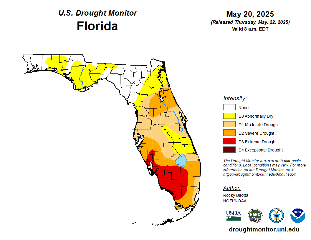 Featured image for “Drought Monitor Update: Florida Still Mostly Dry”