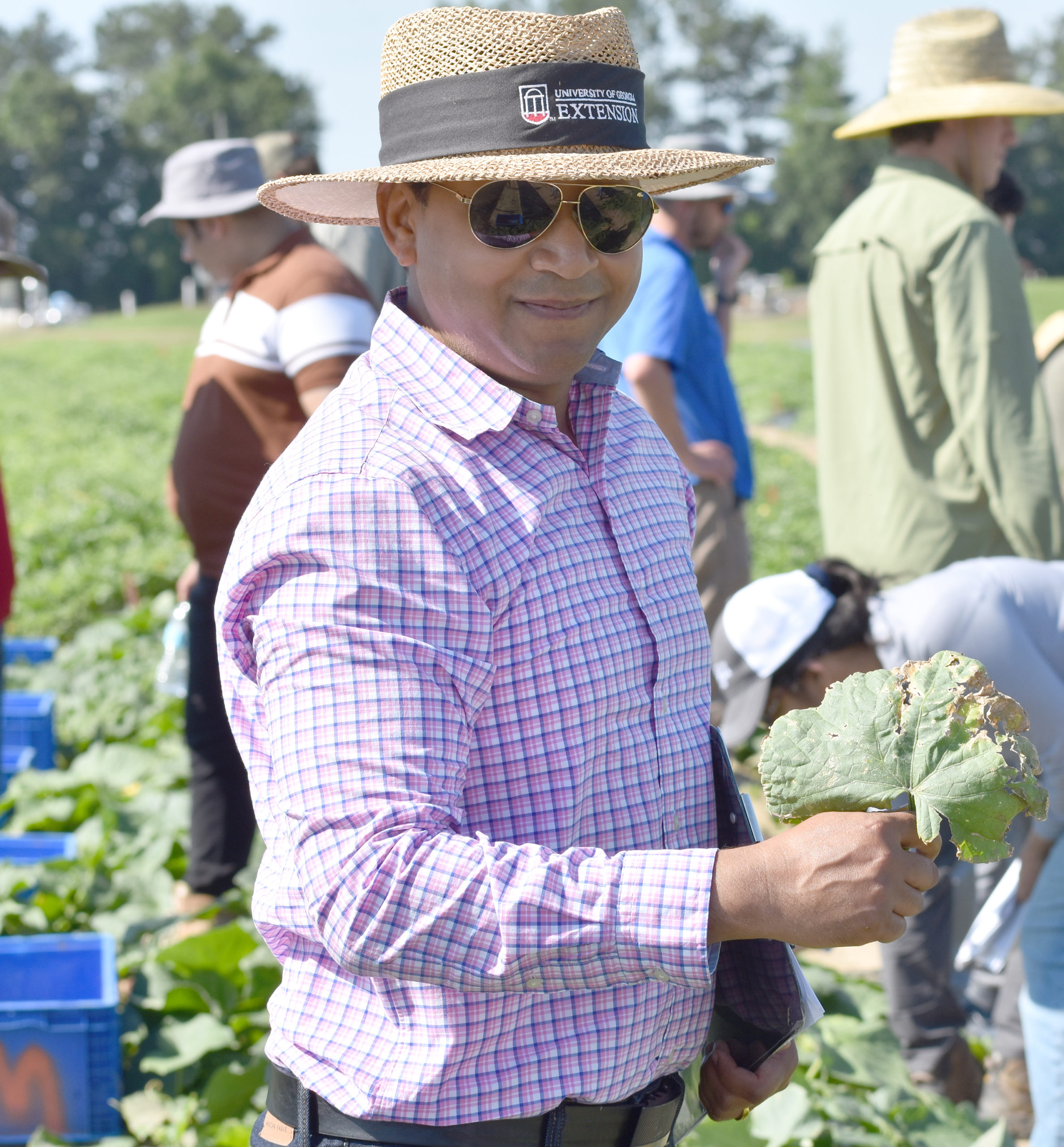 Featured image for “UGA Studying Anthracnose’s Impact in Cucurbits”