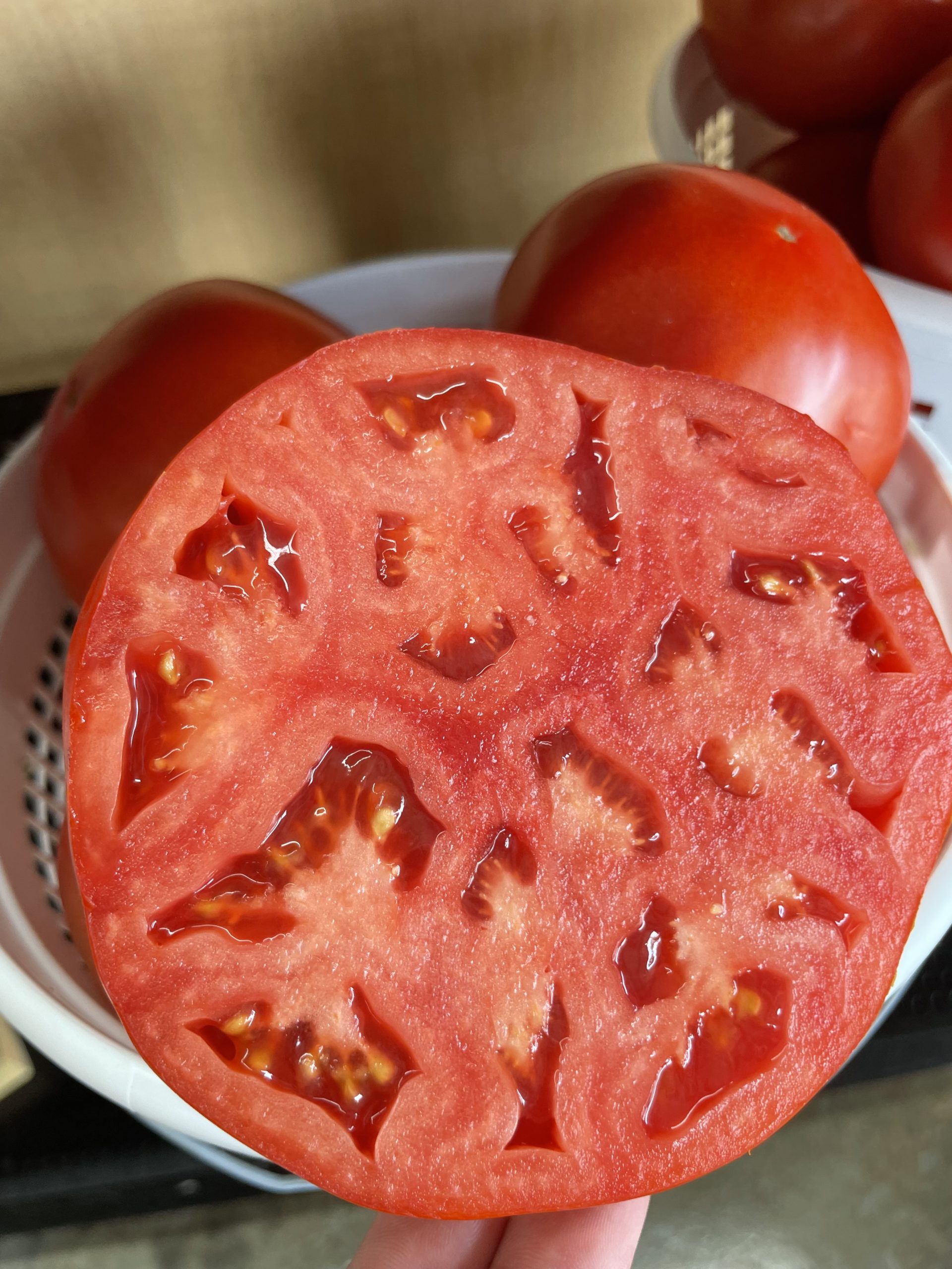 Featured image for “Eyeing More Profits: Alabama Tomato Farmer Modifying Business Operations”