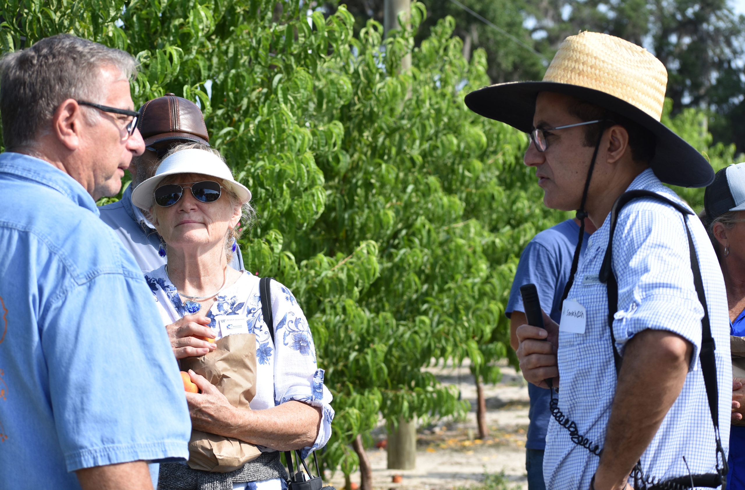 Featured image for “Specialty Crop Grower Magazine: High-Density Orchards the Future of Florida Peach Production”