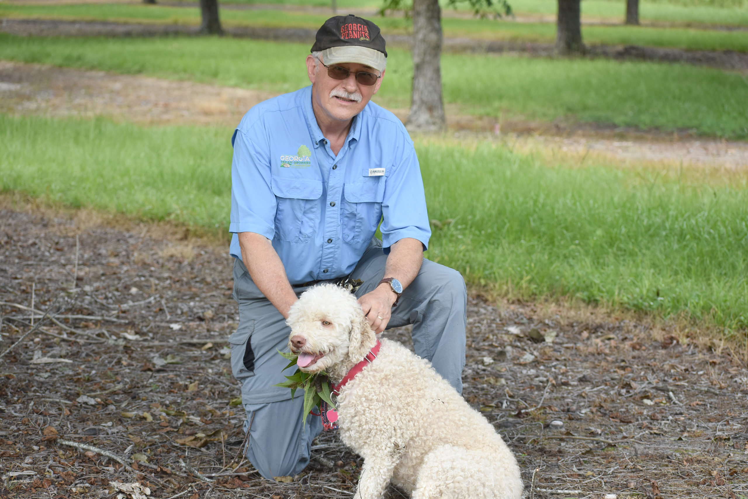 Featured image for “Sniffing Out Profits: UGA Scientist Using Dog to Search for Truffles”