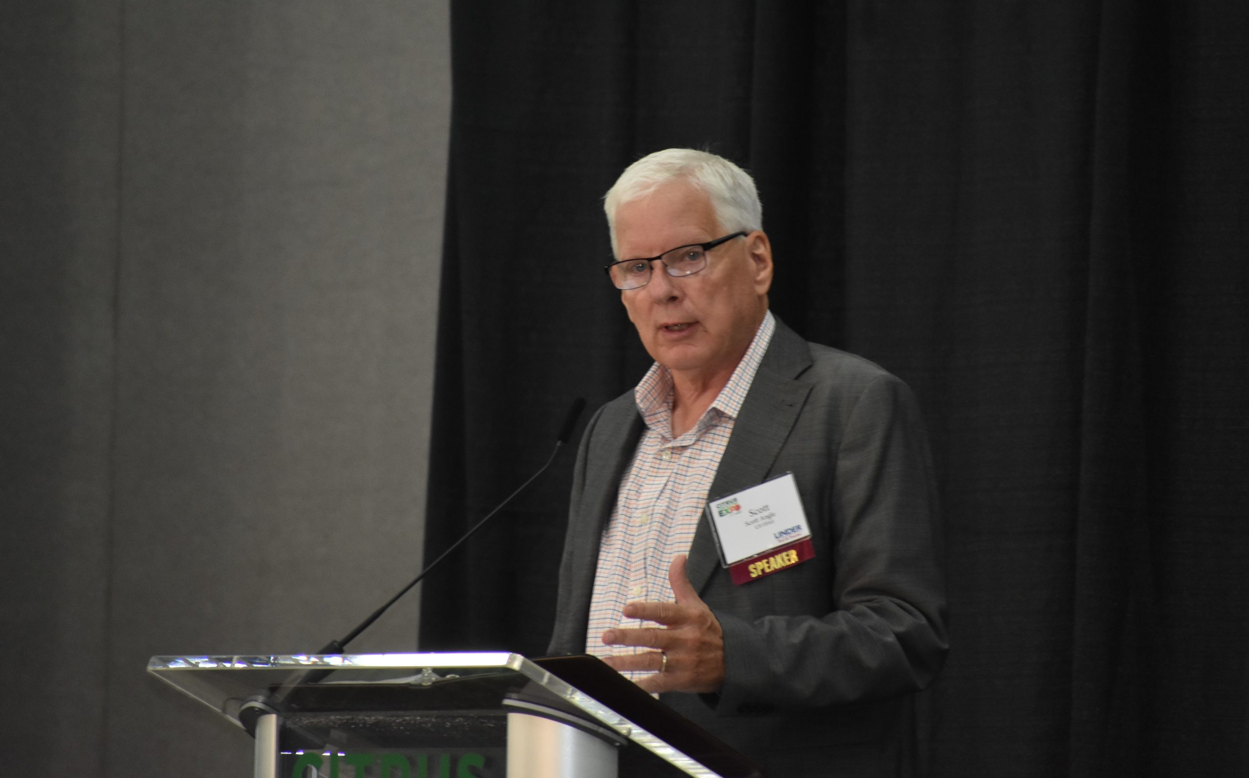 Featured image for “New, Faster Solutions Needed for Citrus Survival”