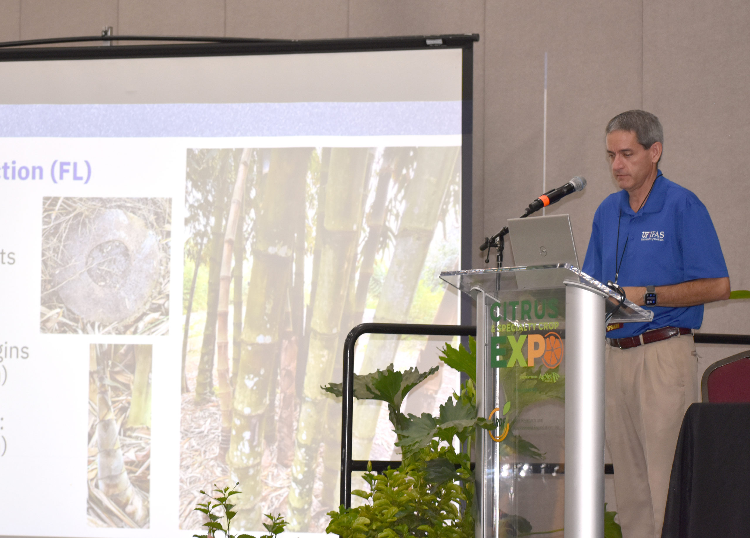Featured image for “Expo Coverage: Bamboo’s Many Uses Make It Potential Alternative Crop in Florida”