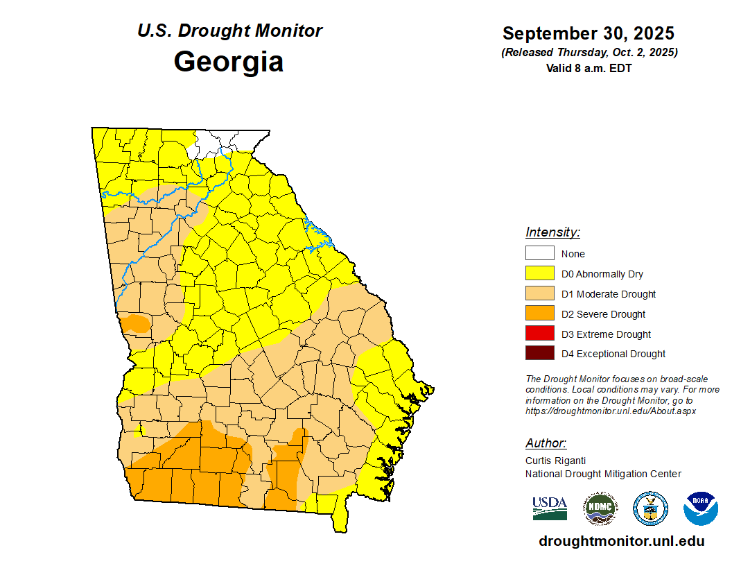 Featured image for “Dry Weather’s Impact on Fall Vegetables”