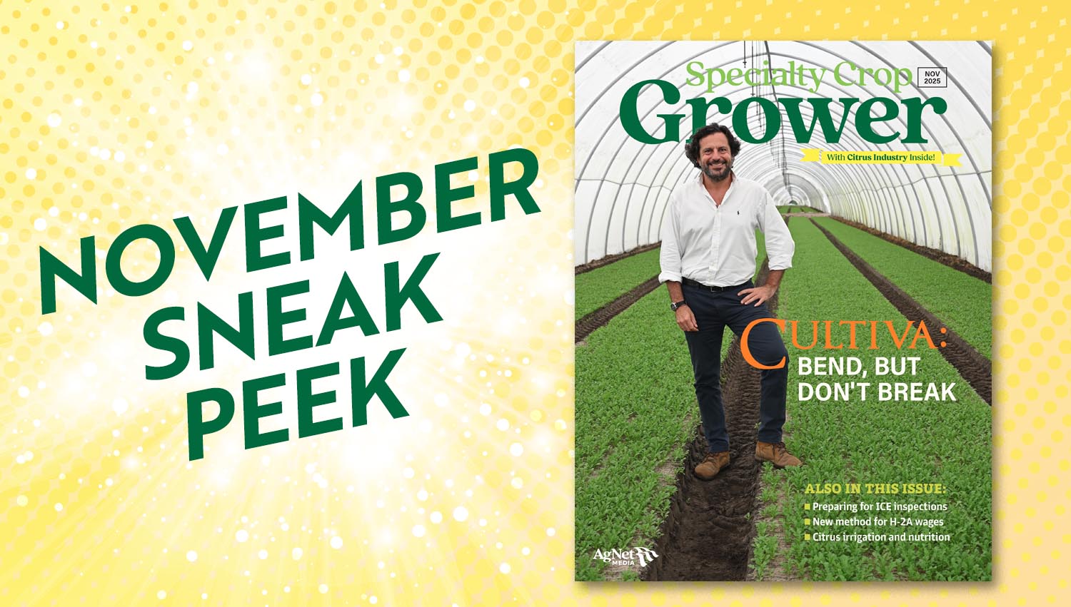 Featured image for “Sneak Peek: November 2025 Specialty Crop Grower Magazine”