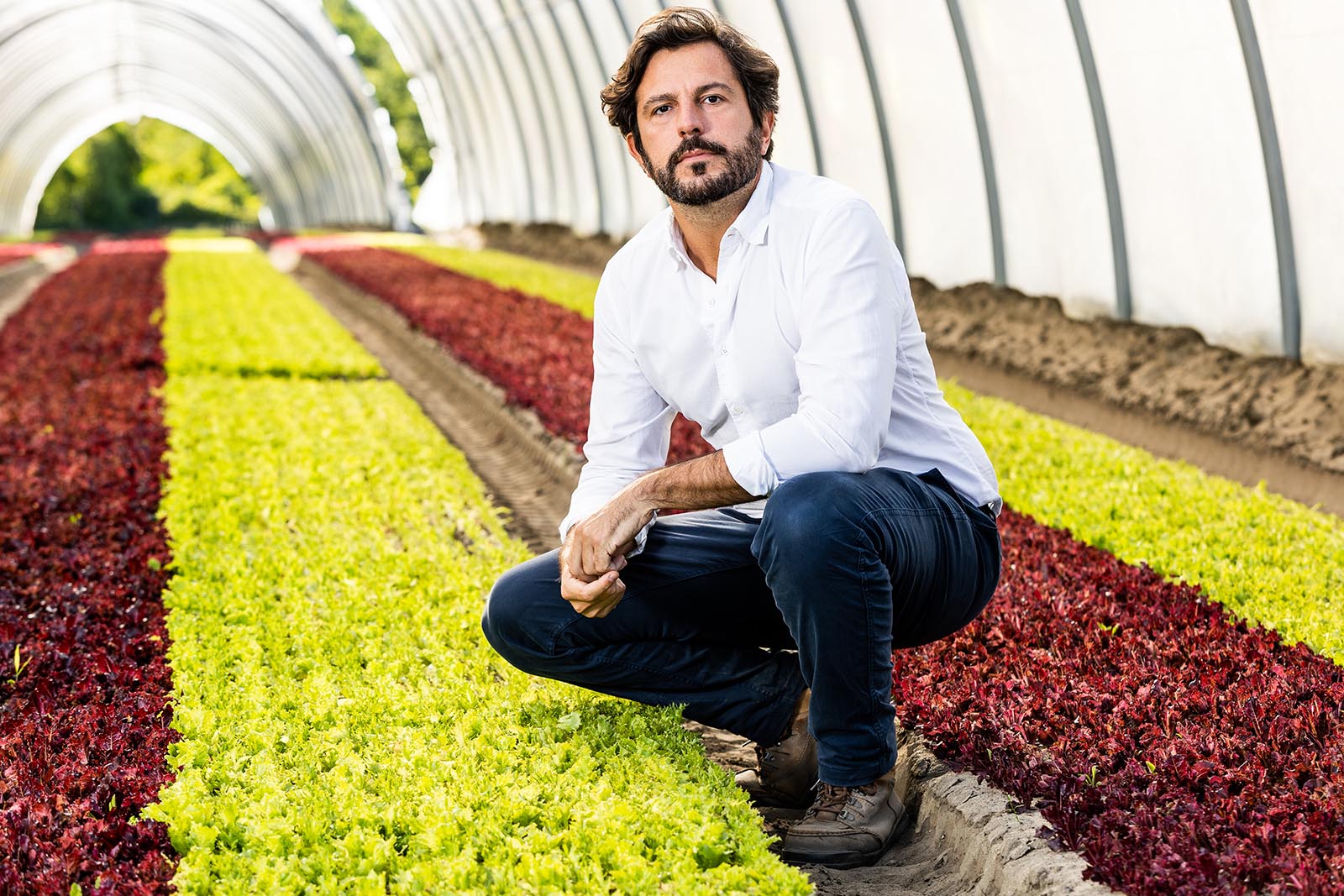 Featured image for “Specialty Crop Grower Magazine: Cultiva, Bend But Don’t Break”