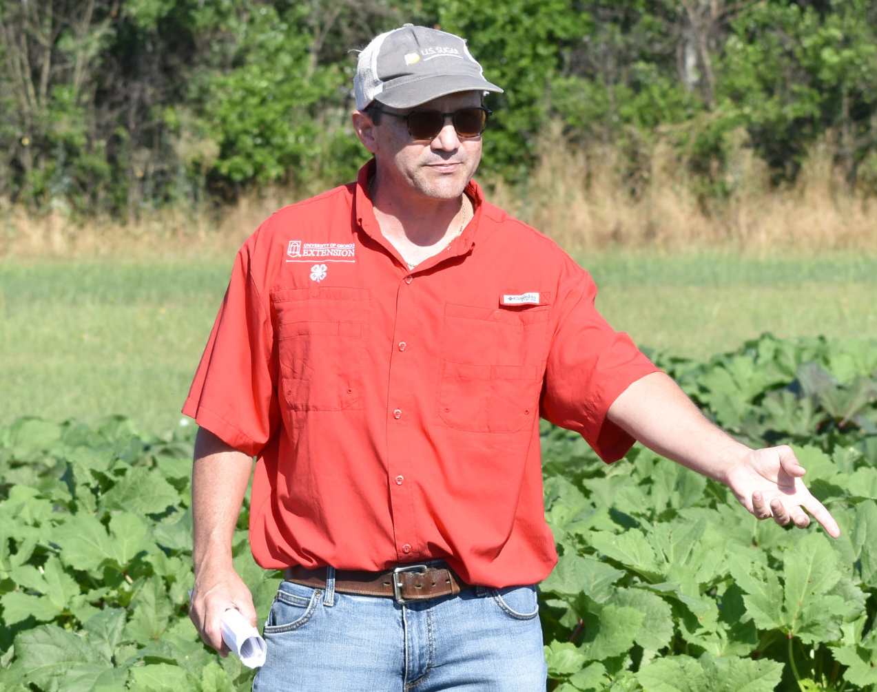 Featured image for “UGA Extension Vegetable Specialist Provides Research Update on Okra”