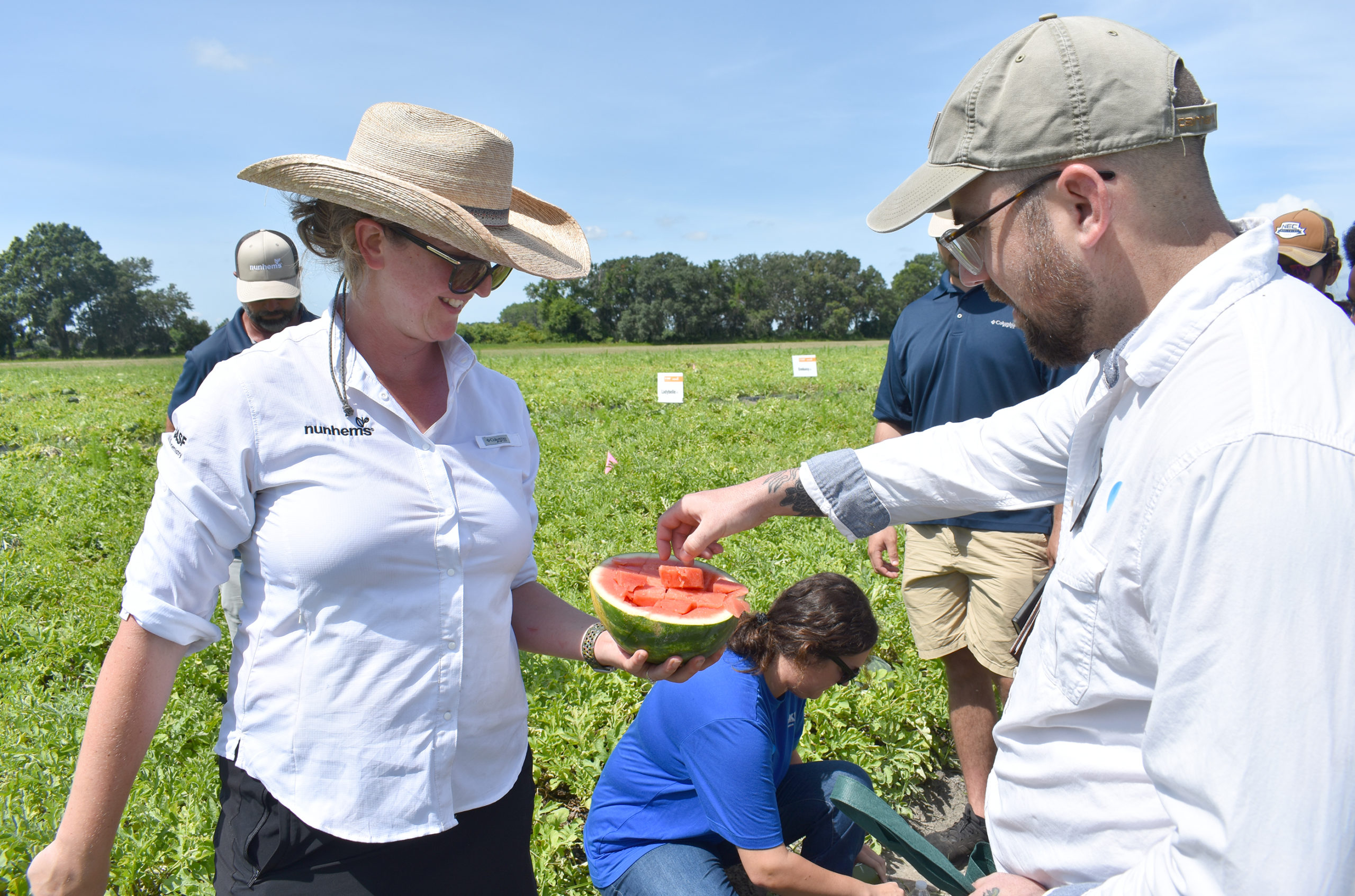 Featured image for “Early Watermelon Plantings the Norm in North Florida”