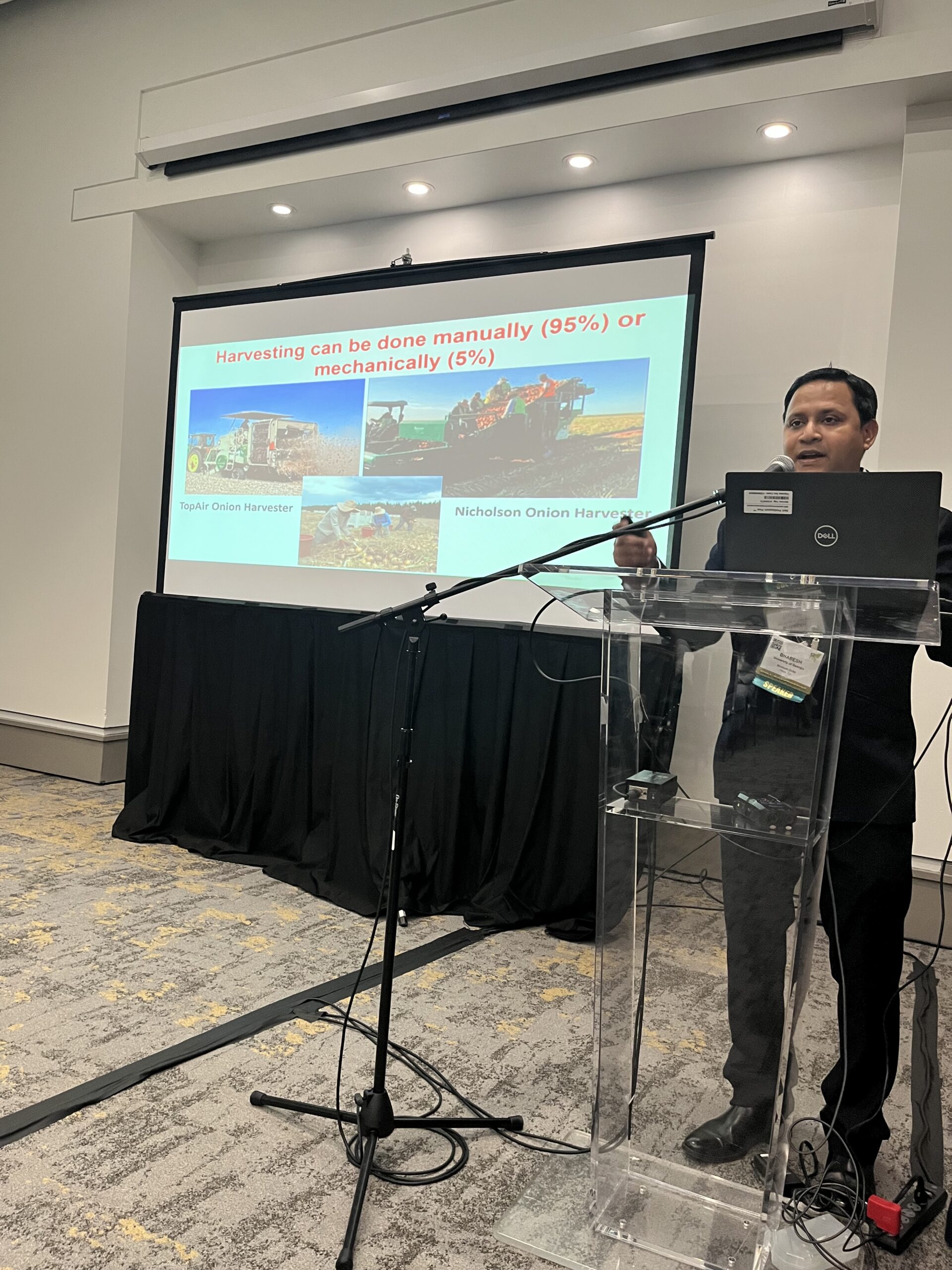 Featured image for “The Time is Now: Downy Mildew Management in Vidalia Onions”