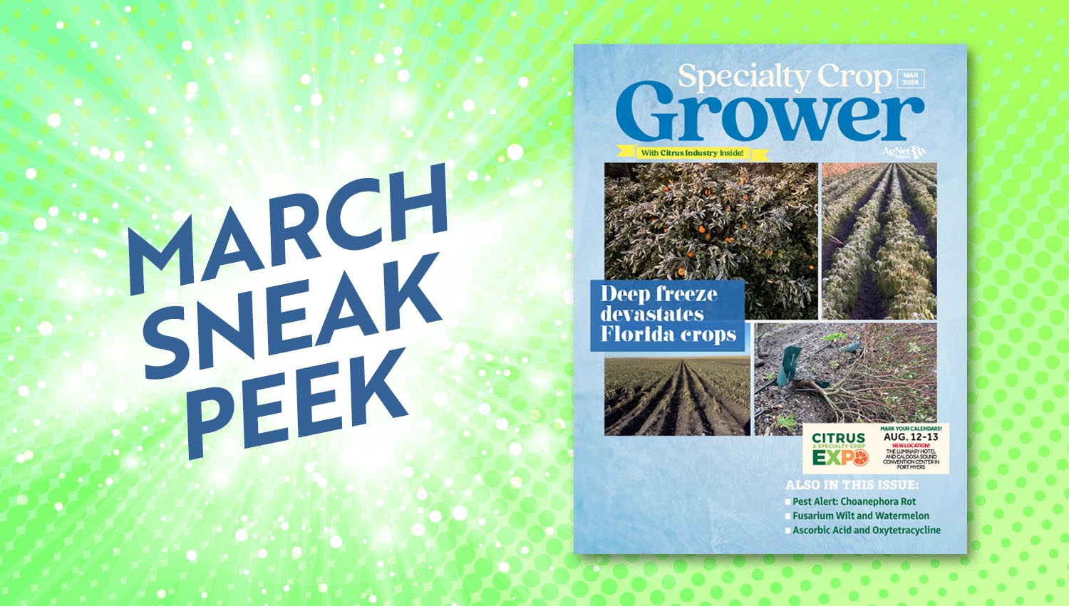 Featured image for “Sneak Peek: March 2026 Specialty Crop Grower Magazine”