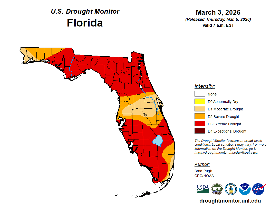 Featured image for “Rainfall Needed: North Florida Watermelon Plantings Begin Amid Extreme Drought”