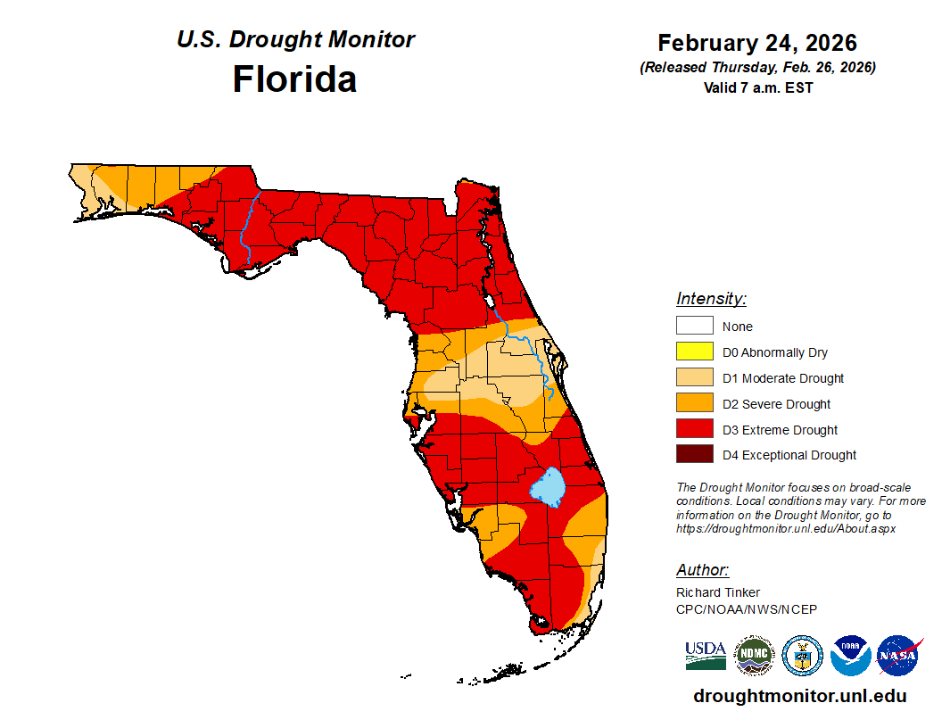 Featured image for “North Florida Drought’s Impact on Watermelon Plantings”