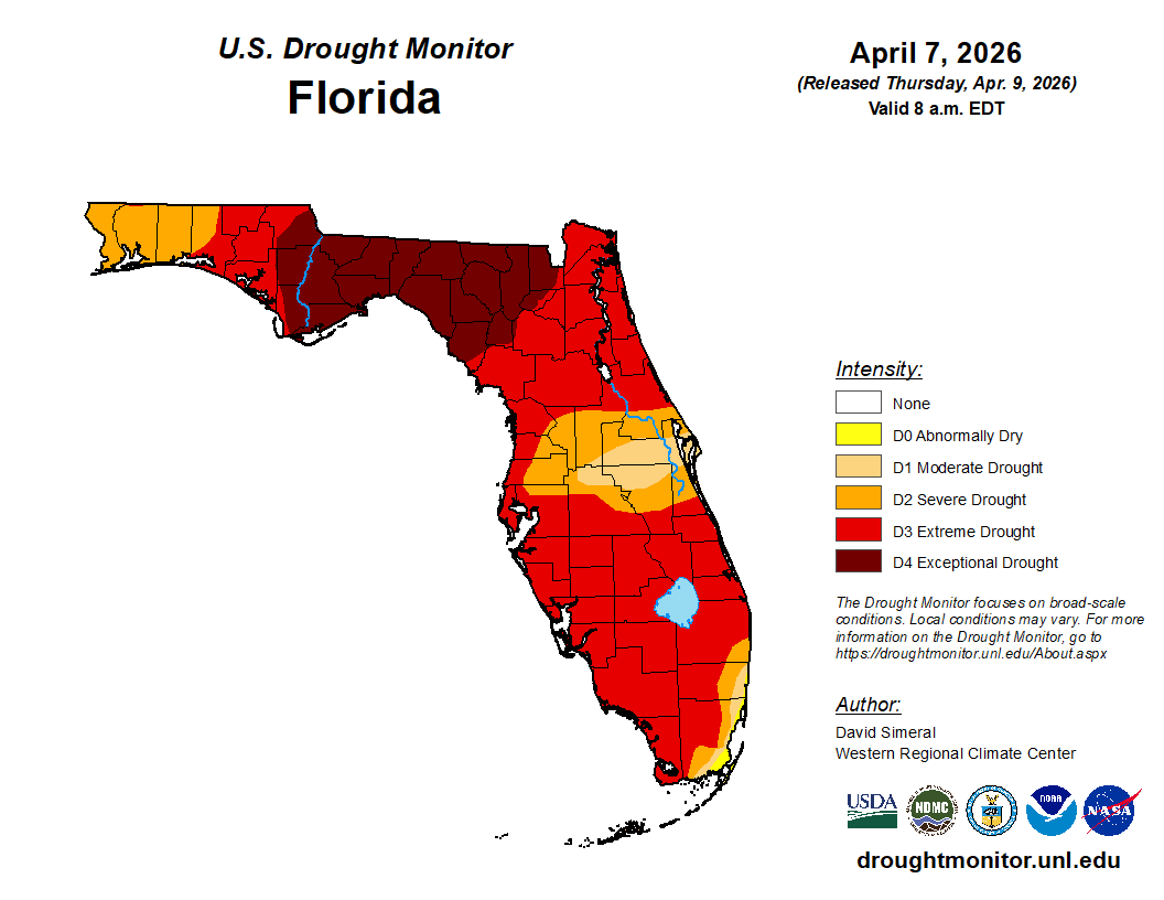 Featured image for “Crop Consultant: Florida Drought Worst in 20 Years”