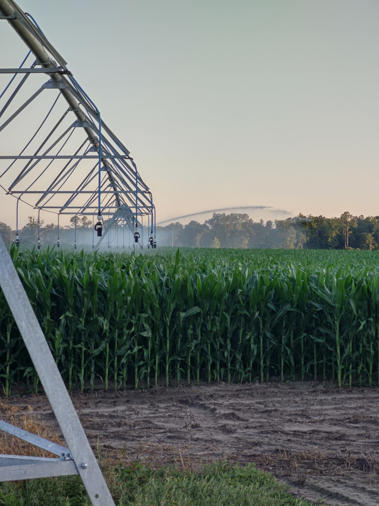 Featured image for “Specialty Crop Grower Magazine: Florida Farm Family Seeks to Solve Sustainability Puzzle”